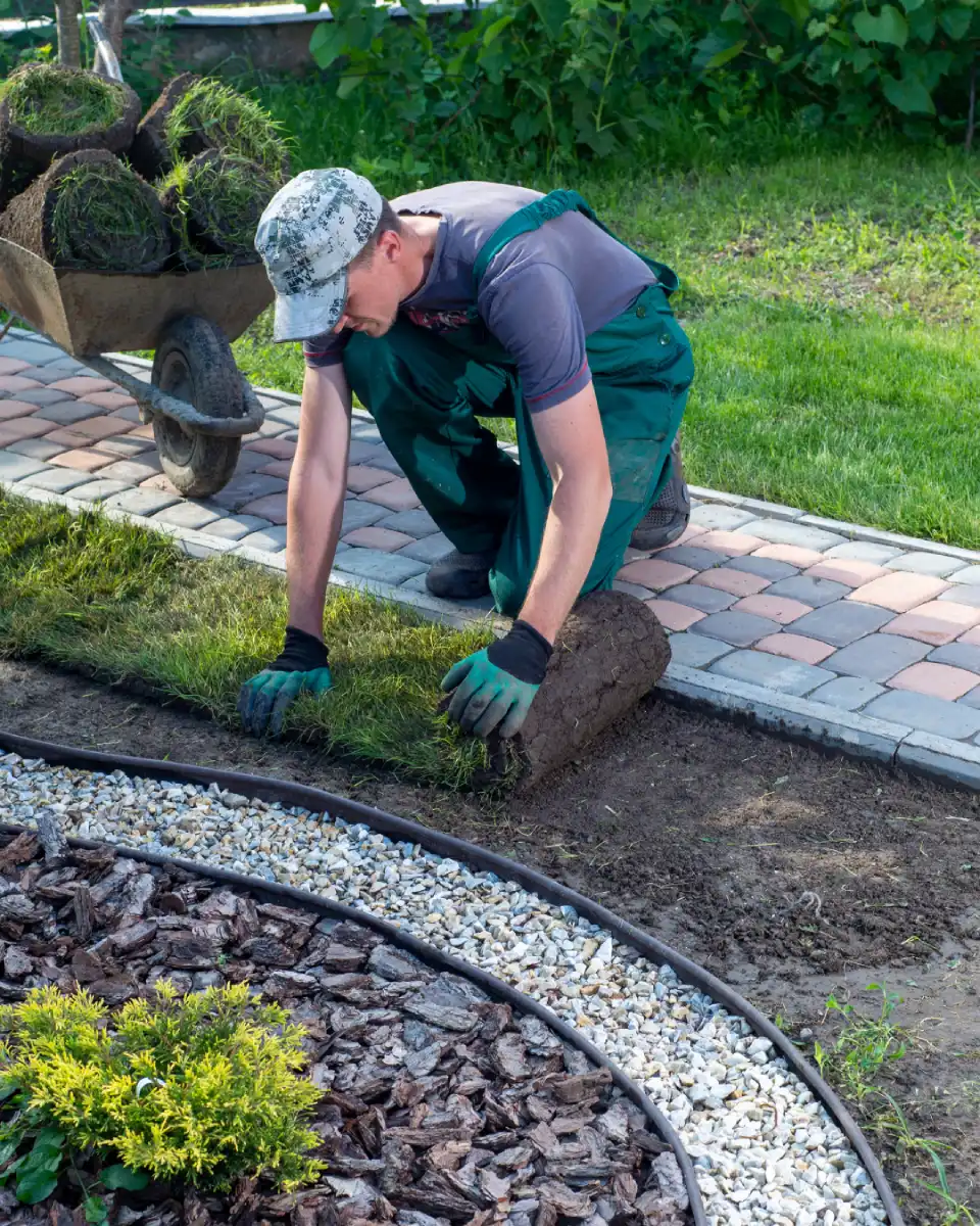 Jardinier posant du gazon en rouleau