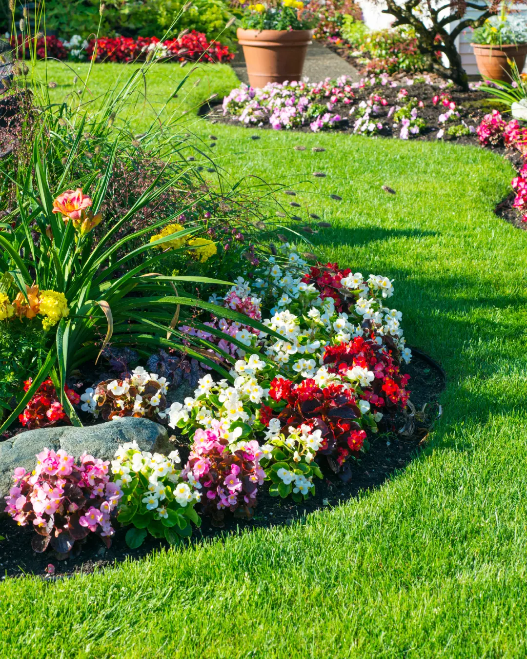 Jardin coloré avec fleurs et pelouse